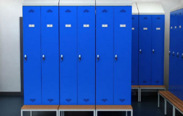 Какие шкафы выбрать для оснащения гардеробного помещения?