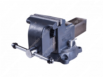 Слесарные тиски "МАСТЕРСКАЯ" модель WS6